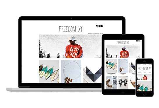 storelaunchers webshop